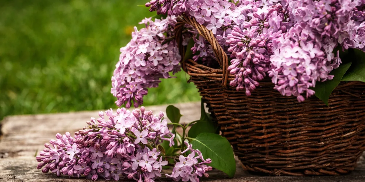 Κι όμως η Μεγάλη Παρασκευή έχει κάλαντα – Πώς θα εξηγήσουμε το νόημα της ημέρας στα παιδιά