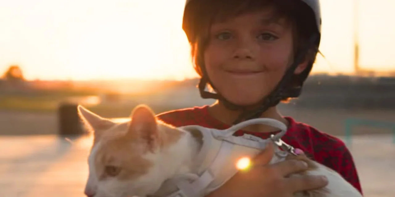 Το παιδί της χρονιάς: 9χρονος θυσίασε κάτι πολύ δικό του για να σώσει κακοποιημένο γατάκι