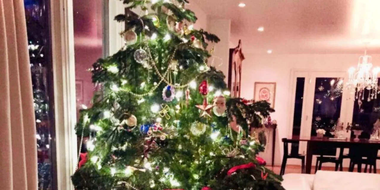 Μία οικογένεια στολίζει ένα άσχημο δέντρο για έναν πανέμορφο λόγο