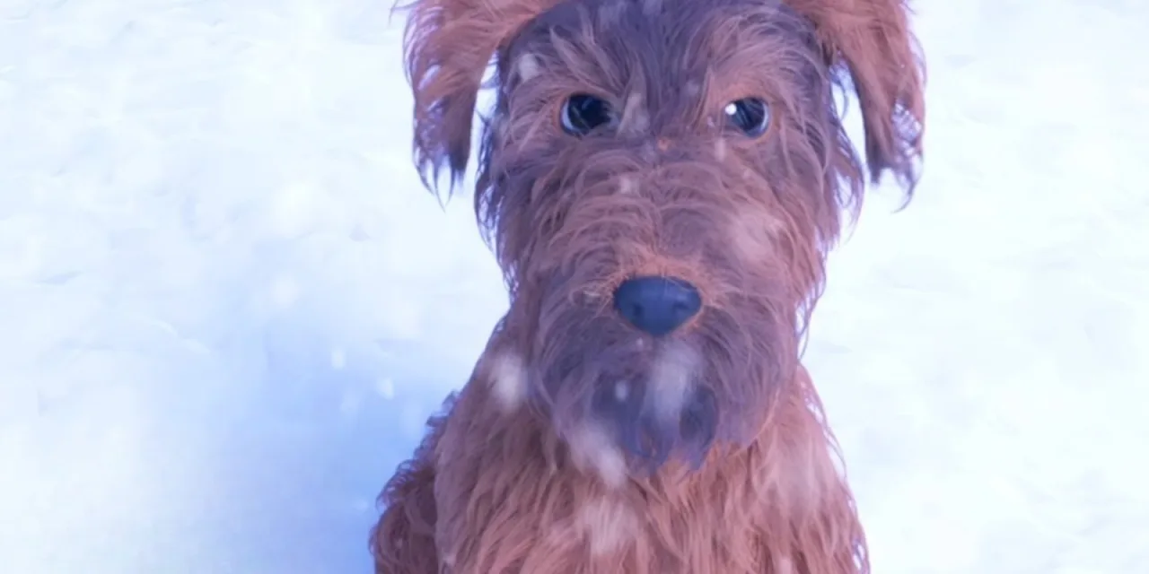 Ένα σπίτι, ένας σκύλος και μια ευχή για τα Χριστούγεννα: Ενα συγκινητικό short animation για να δείτε με τα παιδιά σας