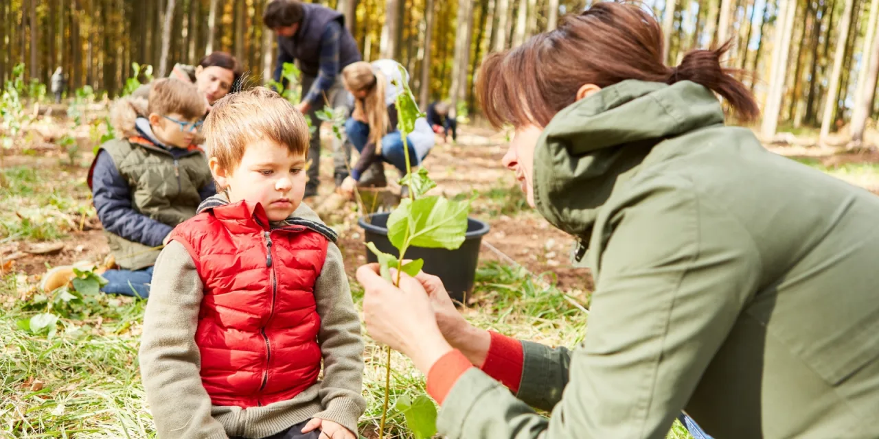 Πώς έφτιαξαν οι Φινλανδοί τις αυλές των παιδικών σταθμών;  Ίσως σου φανεί λάθος, αλλά έχει επιστημονική βάση